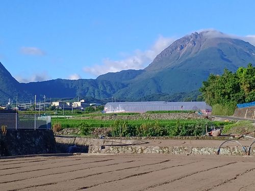 2024年8月近くから見える雲仙普賢岳と眉山（島原市）