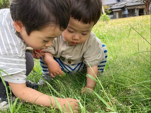 身近に手入れされた自然があるので、子どもを安心して遊ばせることができる。