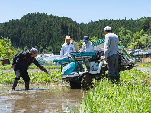 田植えの技術を伝承するオペレーター研修会の様子