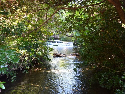 平成の名水百選に選ばれた南沢湧水群（沢頭湧水）
