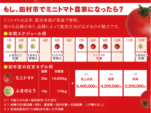 ＜ミニトマトでの就農モデル例＞