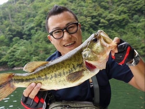 川上地域で協力隊OBが働いてます