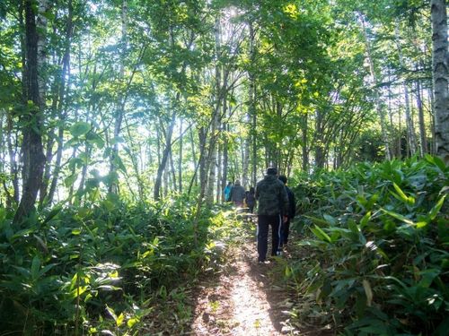 下川町の休日は近くの山に行くこともできます！