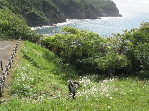 キャンプ場の草刈り　斜面の草刈りは重労働