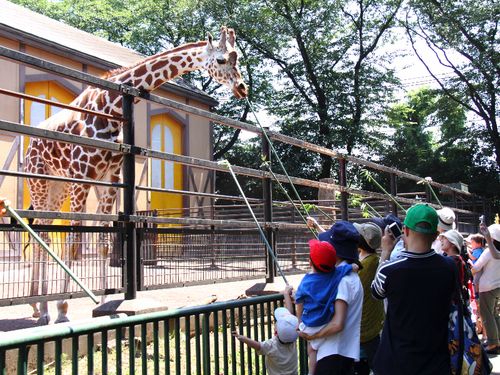 「ヒノトントンZOO」園内で開催されるイベントを体験