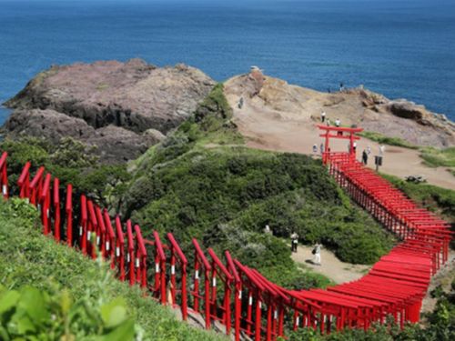 日本海を望む絶景の神社「元乃隅神社」