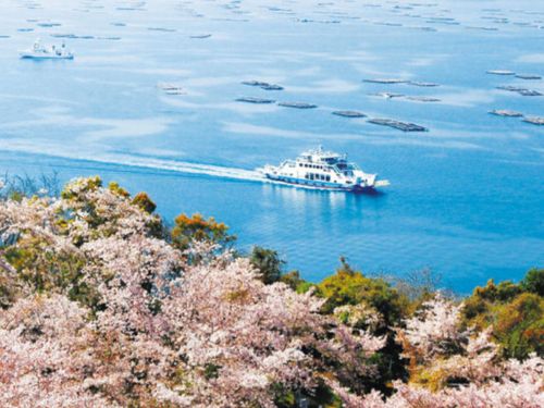 桜の名所　正福寺山公園より