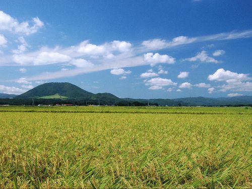薬莱山の麓、一面に広がる田園風景に心が洗われます