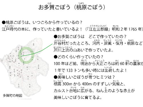 お多賀ごぼう