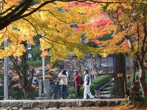 大寧寺の紅葉