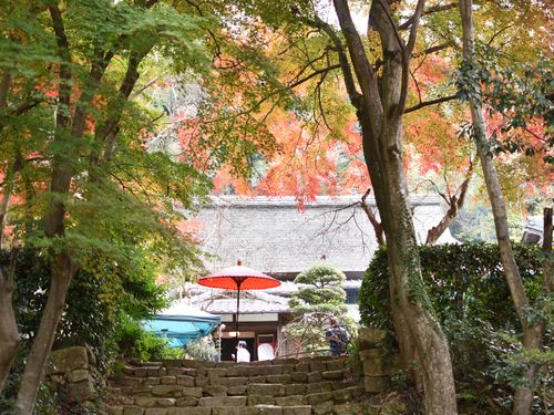 よびし市が開催される胡宮神社社務所には国指定名勝庭園があります