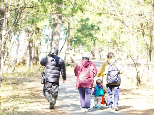 海辺の松原を家族でお散歩。波の音、潮風、鳥のさえずりが心地いい