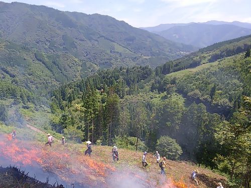 焼畑火入れ