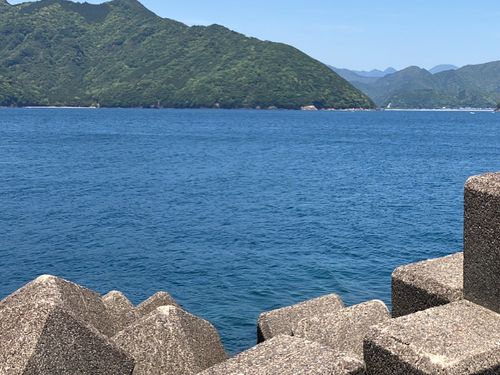 尾鷲港から望む海