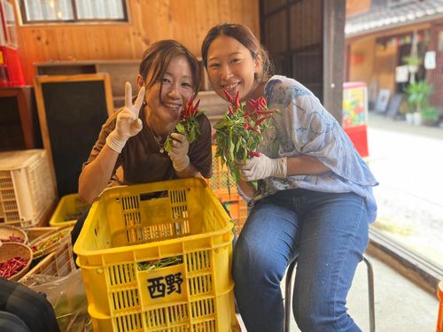 地域の事業所で、仕事を体験。収穫・選別した旬の唐辛子は、特産品の調味料になります。