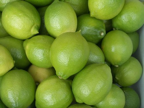 岩城島の「青いレモン」防腐剤やワックスを使用しておらず、皮までまるごと食べられる。