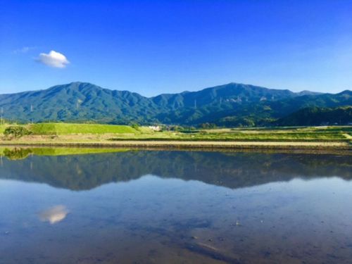 今は田植えの時期。水鏡に移る嘉穂アルプスが綺麗です♪