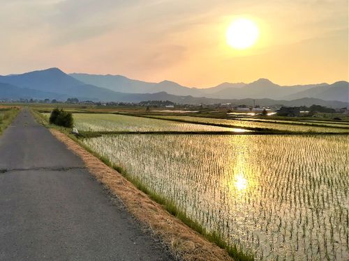 夕暮れの田んぼみち