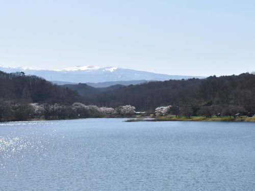 牛野ダム湖畔