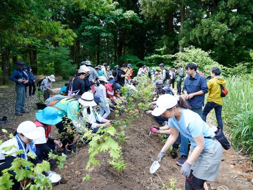 植樹祭の様子