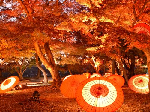 津山城もみじまつり