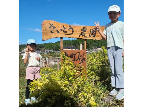 さいとう農園の看板も手作りです！