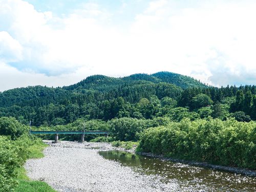 開拓していきたい岩崎の山