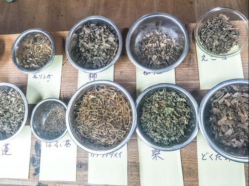 現在１０種類以上の薬草茶を生産しています