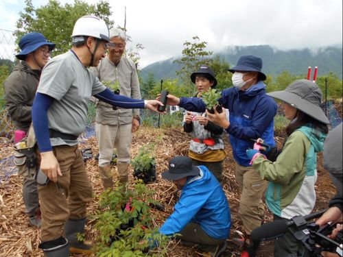 植樹活動