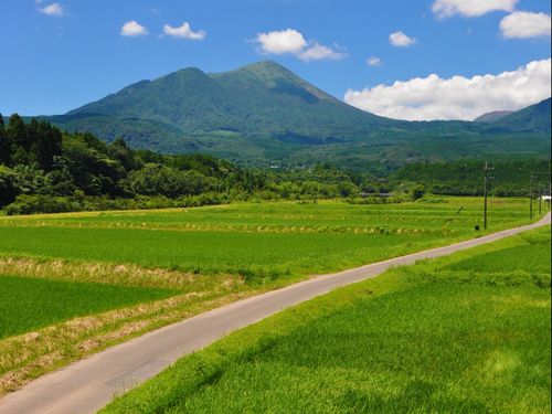 田んぼ道