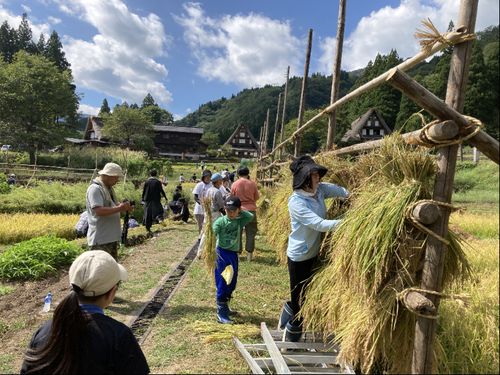 世界遺産で農作業の様子