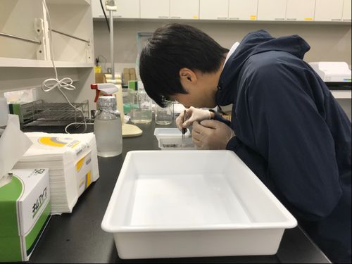大学と連携し、陸上養殖技術の研究を行う