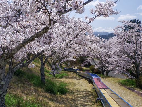 もろはら公園