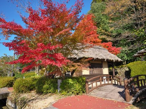 漢陽寺にほど近い清流通り