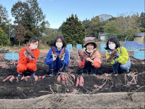 移住体験ツアーの様子