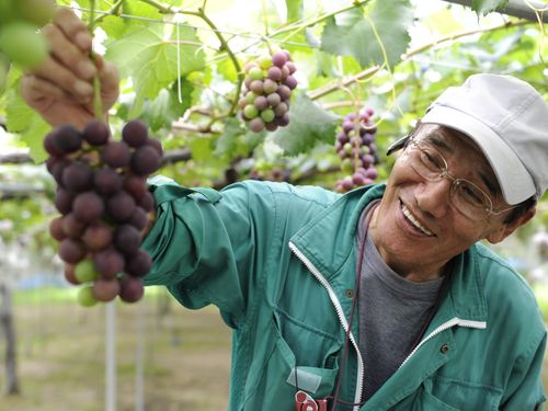 （過去の事例２）地元を代表する水産加工業者が、農業法人を設立。そこで生まれた地物野菜や果物を使ったレストランの立ち上げは、大学生の力無しでは実現できませんでした。