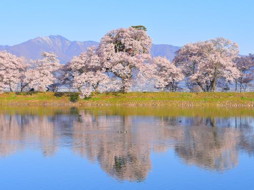 その美しい情景をロケ地として世界へ伝えていきましょう