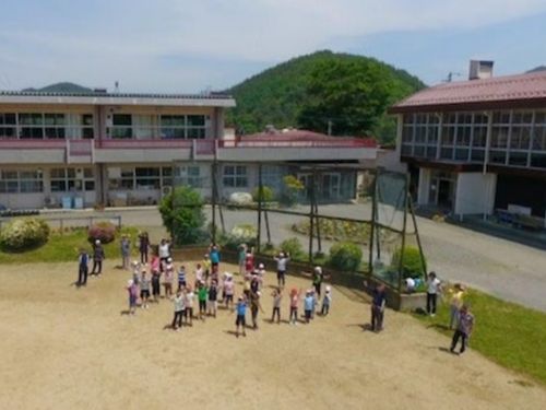 自然豊かな学び舎では様々な取り組みや経験がたくさんできます