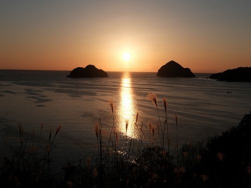 来年はなにを目標に