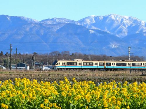 もうすぐ春！！