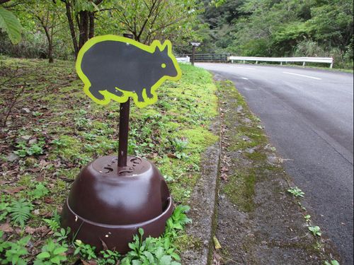 啓発用の看板の作成・設置