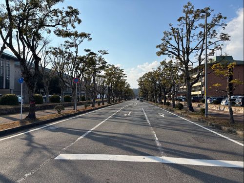 市役所前から近江鉄道八日市駅方面を望む。空が美しく映えます