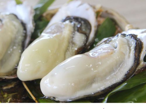 陸前高田といえば牡蠣！