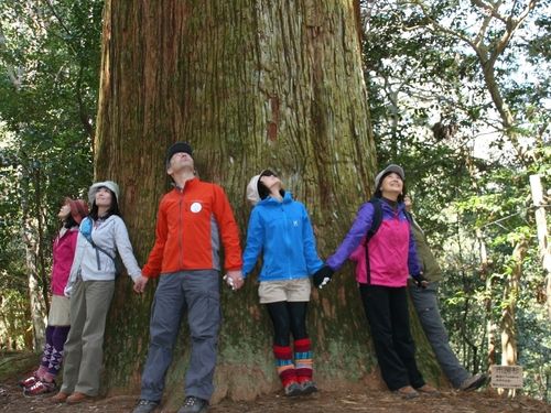 心も癒される「森林セラピー」
