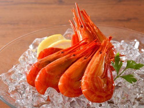 茹でると真っ赤になり「海のルビー」とも呼ばれる北海シマエビ。地球沸騰化の影響で卵が死滅し、漁獲量が激減しています。