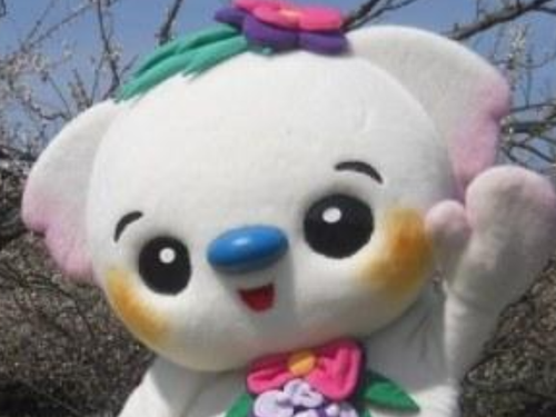 ココラちゃん２