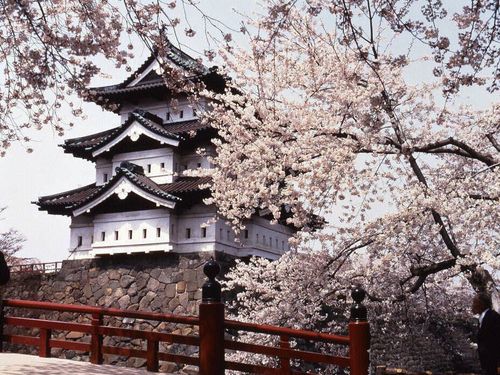 歴史のある街と先進的技術のインタラクションをサポートします