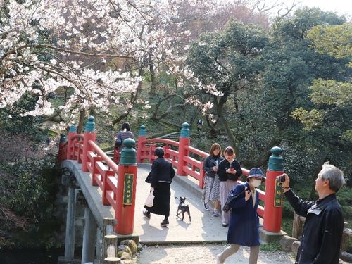 さくらの名所100 選にも選定される「古城公園」