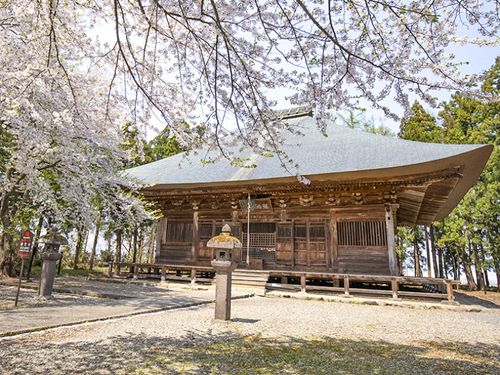 春の勝常寺（薬師堂）