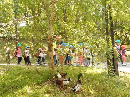 皆が幸せに暮らせる制度が整っており、子どももノビノビと育てることができます。